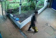 Jovem que invadiu escola de Suzano com facão pretendia ferir alunos, diz polícia