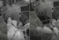 Vídeo: mulher empurra idosa em pousada no Distrito Federal