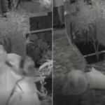 Vídeo: mulher empurra idosa em pousada no Distrito Federal