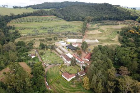 Azeitech 2026: inovação e tradição impulsionam a olivicultura na Mantiqueira