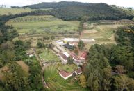 Azeitech 2026: inovação e tradição impulsionam a olivicultura na Mantiqueira