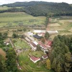 Azeitech 2026: inovação e tradição impulsionam a olivicultura na Mantiqueira