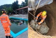 Em menos de 24h, vacas são resgatadas após quedas em piscina e cisterna em MG