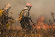 Qual a diferença entre Brigada de Incêndio e Corpo de Bombeiros? Saiba funções de cada um