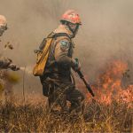 Qual a diferença entre Brigada de Incêndio e Corpo de Bombeiros? Saiba funções de cada um
