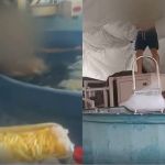 Vídeos mostram festa com álcool e churrasqueira em hospital de campanha da Covid no RJ