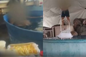 Vídeos mostram festa com álcool e churrasqueira em hospital de campanha da Covid no RJ