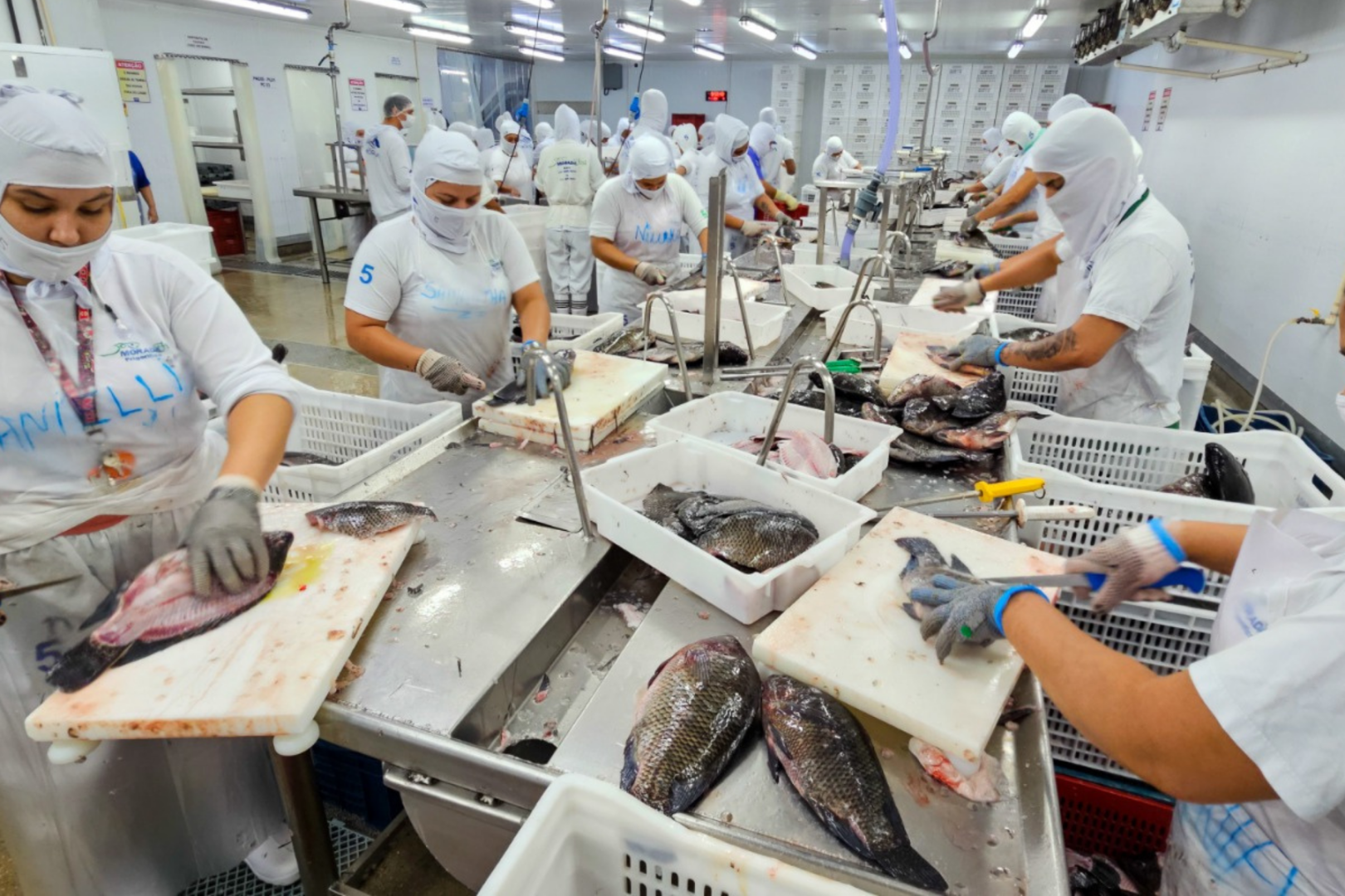 Produtores em Minas comemoraram a decisão