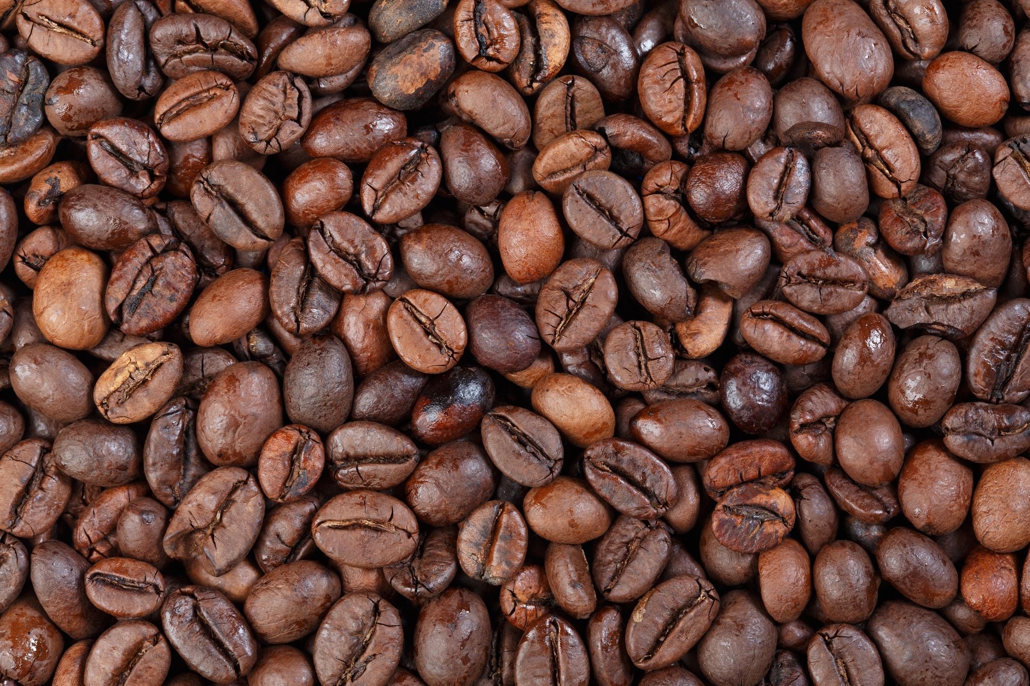 Exportação de café cai 8% em março com entressafra e guerra no Oriente Médio