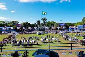 Expozebu começa neste sábado (25) na expectativa de receber 400 mil visitantes