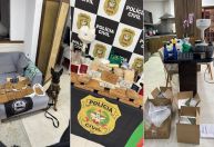 PC descobre laboratório de cocaína em SC e prende traficante russo