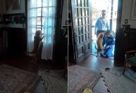 Astronauta faz registro emocionante de reencontro com cão após Artemis II