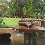 Corpo de mulher é encontrado decapitado em parque na região do Barreiro