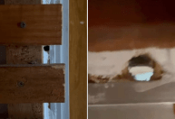 Mãe denuncia marido por filmar enteada no banho por buraco na parede do banheiro em BH