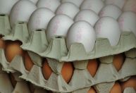 Preço do ovo sobe 21% na Quaresma, mas média é a menor em 4 anos