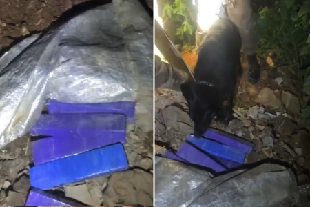 Polícia contou com o apoio de cão farejador