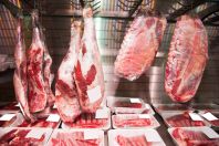 UE concorda em analisar 'proteína por proteína' de exportações do Brasil