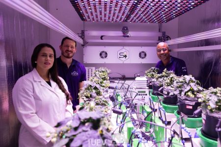 Trabalho é desenvolvido por pesquisadores da UFV