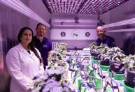 Pesquisadores de MG tentam produzir alimentos na Lua; entenda