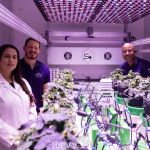 Pesquisadores de MG tentam produzir alimentos na Lua; entenda