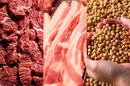 Agro bate recorde histórico com US$ 38 bilhões em exportações no 1º trimestre