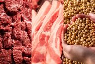 Agro bate recorde com US$ 38 bilhões em exportações no primeiro trimestre