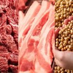 Agro bate recorde com US$ 38 bilhões em exportações no primeiro trimestre