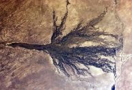 Rio Cubango: conheça o rio que nasce em Angola e 'desaparece' no deserto