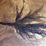 Rio Cubango: conheça o rio que nasce em Angola e 'desaparece' no deserto