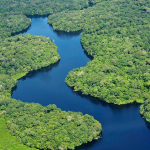 Câmara aprova cabotagem aérea na Amazônia Legal; entenda