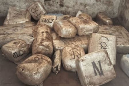 Material foi apreendido em operação da polícia