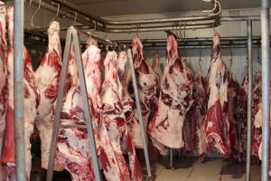 China suspende frigorífico do MT após detectar substância proibida em lote de carne