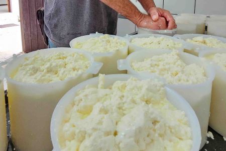 Produção do Queijo do Serro • Diego Vargas/ Seapa-MG