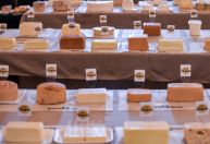 ExpoQueijo 2026 abre inscrições para o maior concurso de queijos das Américas em MG