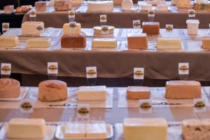 ExpoQueijo 2026 abre inscrições para o maior concurso de queijos das Américas em MG