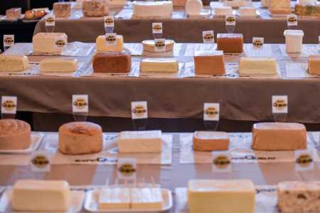 ExpoQueijo 2026 abre inscrições para o maior concurso de queijos das Américas em MG