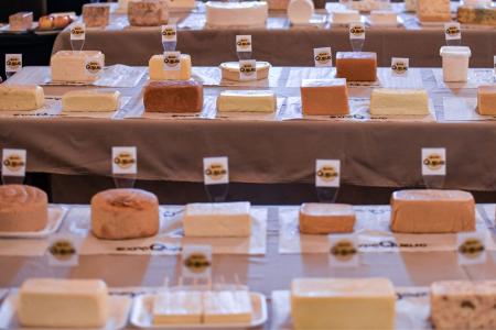 ExpoQueijo 2026 abre inscrições para o maior concurso de queijos das Américas em MG