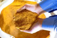 Etanol de milho: China recebe primeiras cargas de DDGS do Brasil