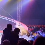 Vídeo: tigre pula em plateia durante apresentação de circo na Rússia