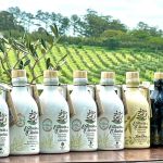 Marca de azeite gaúcha vence 10 prêmios na Europa e atinge nota 100 inédita