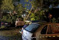 Árvores caem sobre Kombi e atingem rede elétrica no Barreiro, em BH