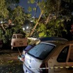 Árvores caem sobre Kombi e atingem rede elétrica no Barreiro, em BH