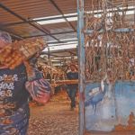Entidades criam fundo de crédito sem juros para comerciantes de Ubá atingidos pelas enchentes