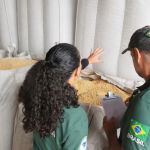 Operação Semente Segura III apreende 1,4 mil toneladas de insumos irregulares no RS