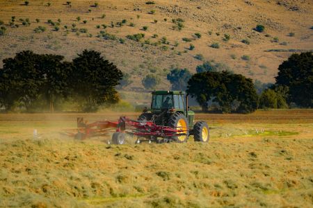 Preços ao produtor agropecuário caem quase 10% no primeiro trimestre de 2026