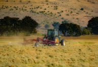 Preços ao produtor agropecuário caem quase 10% no primeiro trimestre de 2026