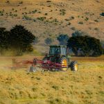 Preços ao produtor agropecuário caem quase 10% no primeiro trimestre de 2026