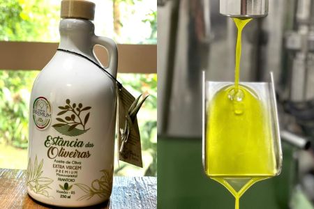 Azeite nota 100: veja onde comprar o rótulo gaúcho eleito o melhor do mundo em 2026