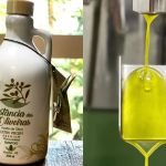 Azeite nota 100: veja onde comprar o rótulo gaúcho eleito o melhor do mundo em 2026