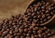 Café em queda: robusta atinge menor preço em dois anos e arábica recua em abril